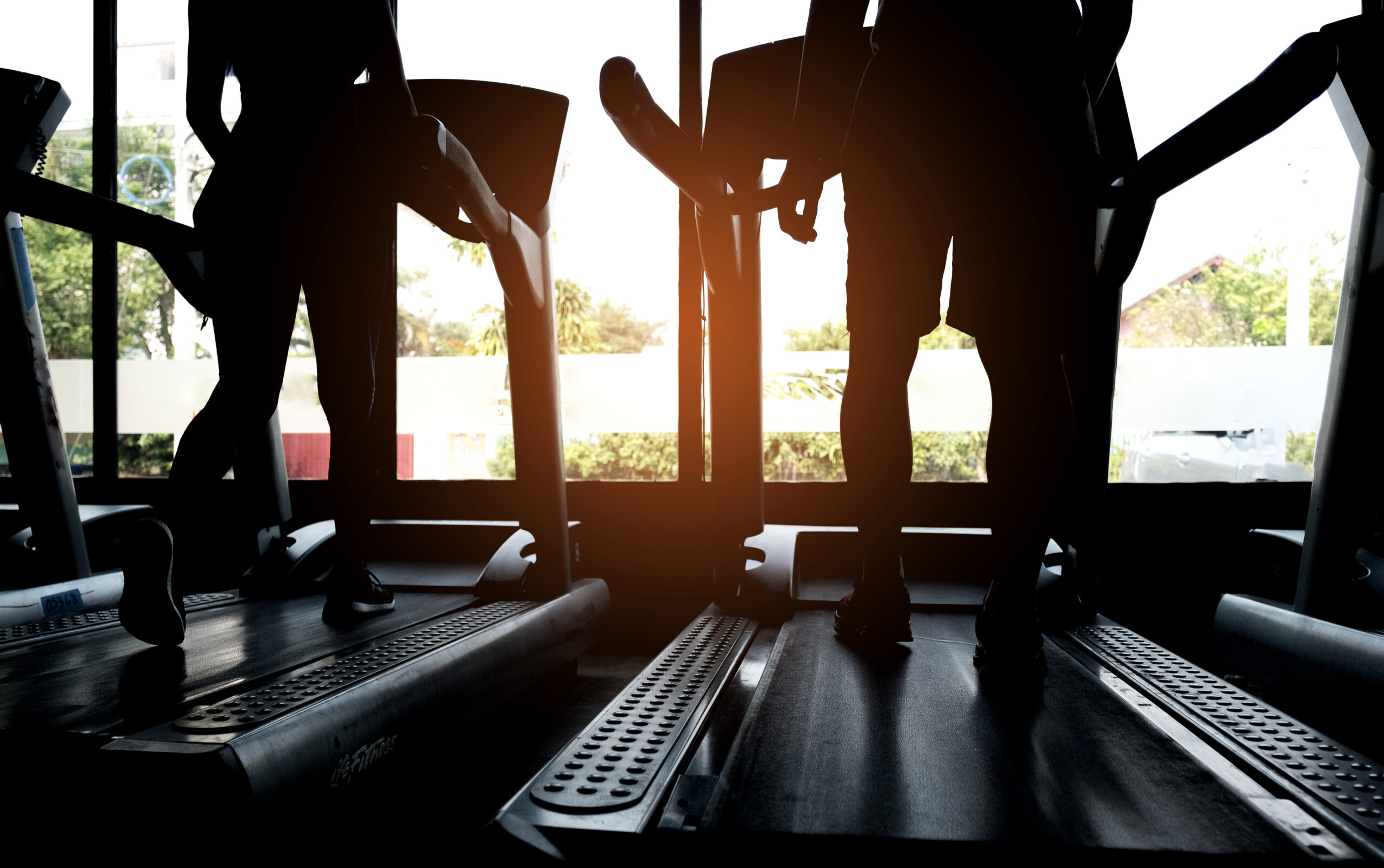 People Are Running On The Treadmill,silhouette Shot From The Bac